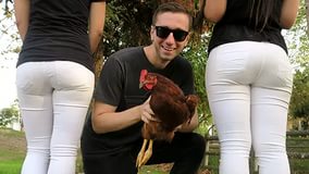 Cock for two 